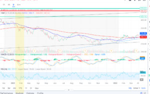 Screenshot-2025-03-31-062535