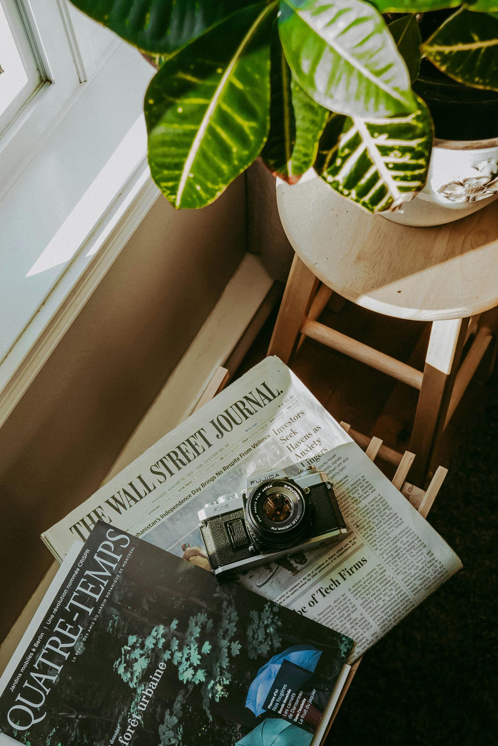 A vintage camera placed on a Wall Street Journal newspaper and magazine next to a houseplant.